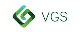 vgs vgs